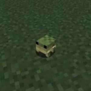 Meet your Posher, Daphne